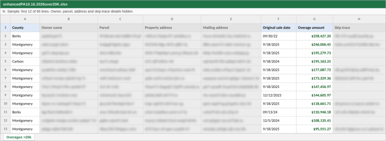 Sample of this list with owner, parcel, address and skip-trace details hidden