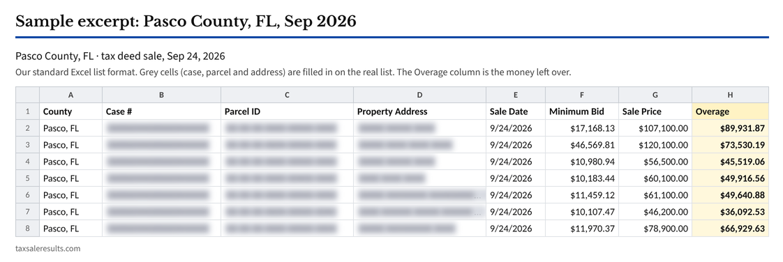Spreadsheet preview of a real county list in our standard Excel format, Pasco County, Florida, tax deed sale on Sep 24, 2026: seven rows showing minimum bid, sale price and overage. Overages range from $36,092.53 to $89,931.87. Case number, parcel ID and address are greyed out.